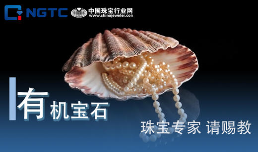 珠宝专家，请赐教|有机宝石 商品图0