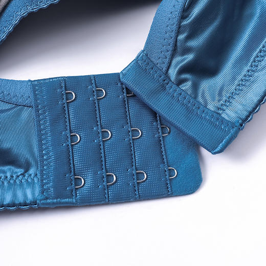 【特价商品不退不换】皇家丽美中厚款记忆钛圈聚拢时尚轻薄蕾丝文胸WJ910-2 商品图7