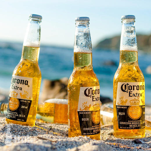 科罗娜特级啤酒300ml (8A) 商品图1