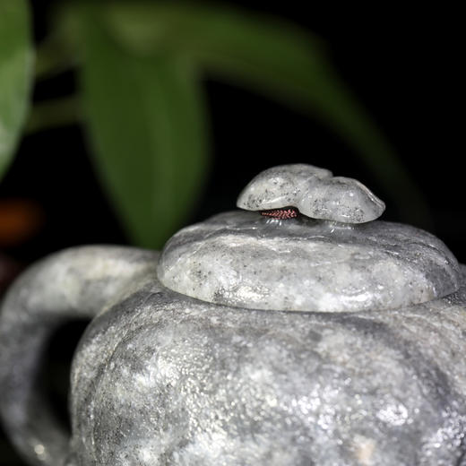 和田玉（青花）玉壶--供春壶（宋鸣放6601）261.53g 商品图3