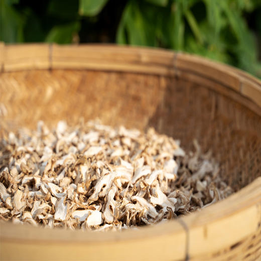 盐炒黄姜【云南高山母姜】 商品图3