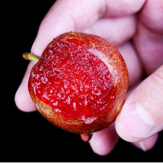 红李子1.5kg±50g 商品图1