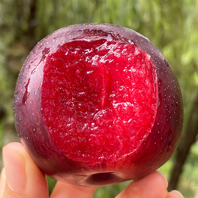 美国黑珍珠恐龙蛋 | 悠悠果粉紫,洗干净之后又是黑亮亮的,果肉特别