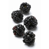 【1盒|黑树莓】现摘新鲜黑树莓1盒(重约500g) 【当天提货】 商品缩略图1
