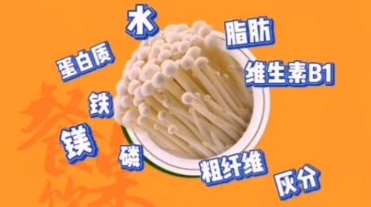 吃了不消化的金针菇，是“无用”的食物吗？ | 96C餐桌饮食结构升级 商品图0
