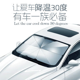 【防晒隔热免安装】汽车遮阳伞【207-1】