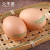 【黑凤鸡蛋30枚】父子源黑凤鸡富硒营养蛋无菌鸡蛋可生食顺丰包邮 商品缩略图10