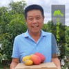 生态芒果干（临期8折） | 合作生产 *Eco- Dry mango | Coproduction 商品缩略图4