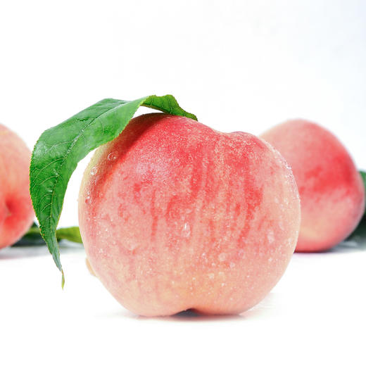 肥城桃莱山蜜9枚装(5斤左右) /顺丰包邮