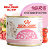 皇家奥地利奶糕幼猫成猫哺乳期猫全阶段营养主食罐头猫粮湿粮195g 商品缩略图0