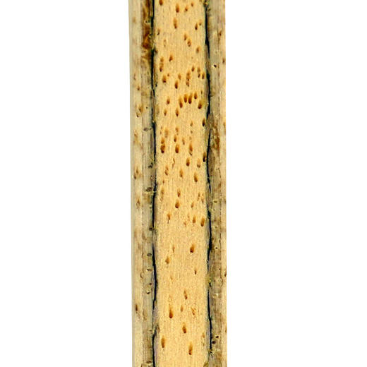 Tibhar挺拔尚坤ZC乒乓球拍5+2内置芳碳纤维乒乓球底板 商品图4