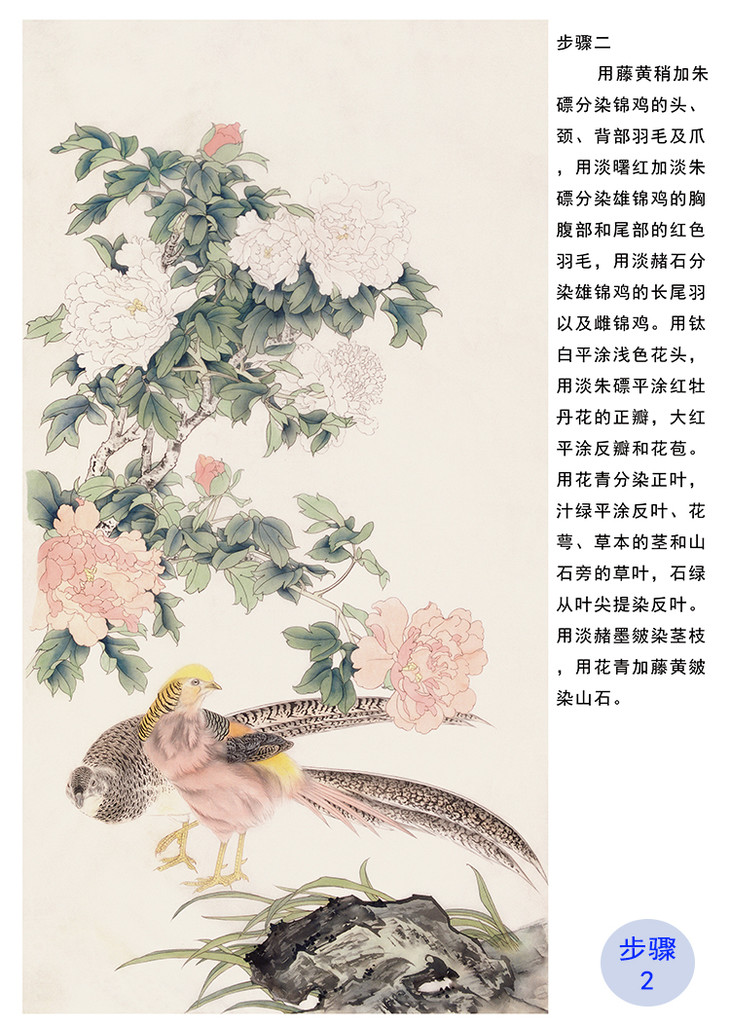 有步骤陈军竖幅工笔花鸟画白描底稿锦鸡牡丹锦上添花有步骤图可选cj24