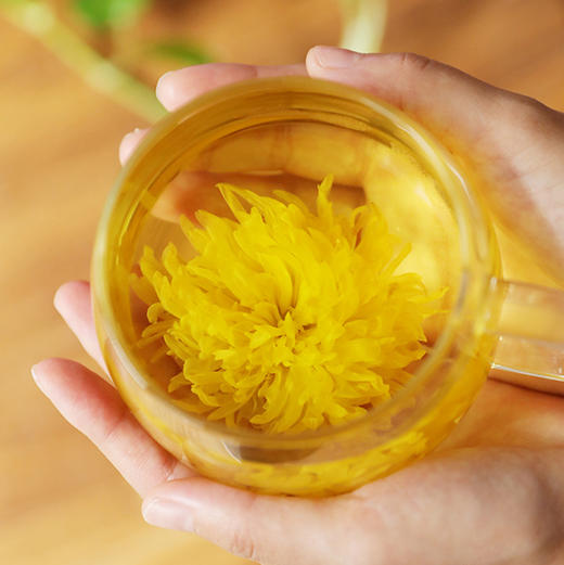 【爱心助农·消费扶贫】两当特产金丝皇菊12小盒*1条 商品图4