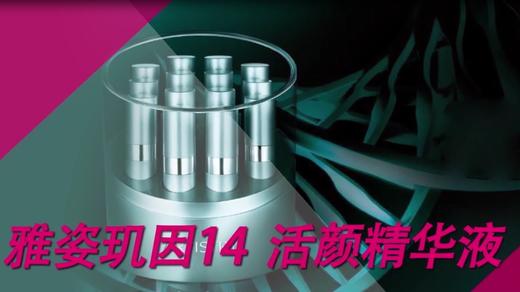 17.玑因14 商品图0