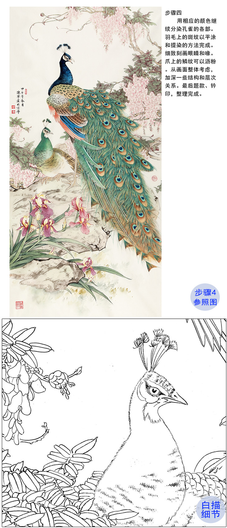 有步骤陈军四尺竖幅工笔花鸟画白描底稿孔雀图紫气东来有步骤图可选