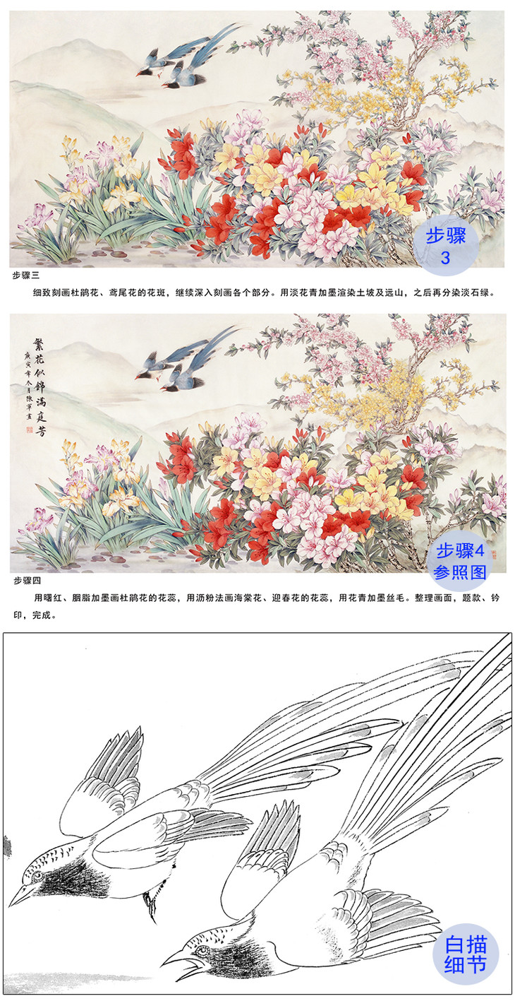 【有步驟】陳軍工筆畫白描底稿藍鵲杜鵑花《繁花似錦》多種白描尺寸和