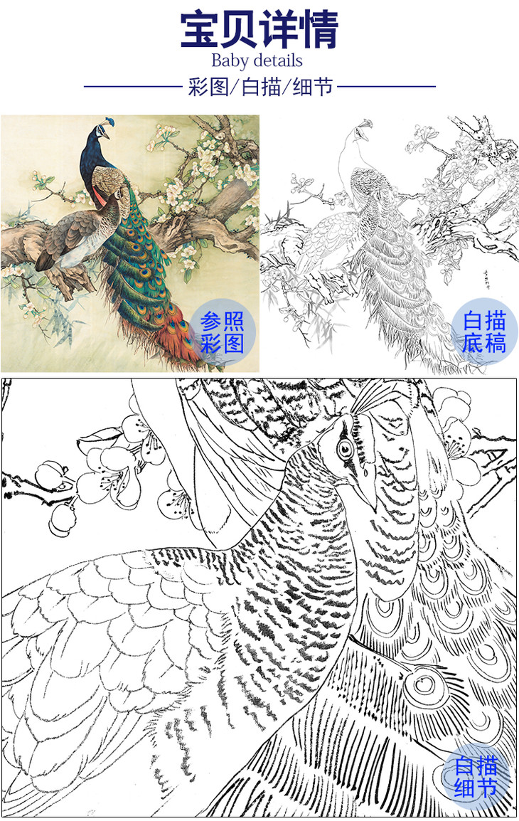 陈军工笔白描底稿孔雀花鸟图多种白描尺寸可选cj59