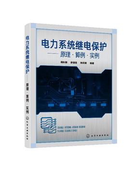 电力系统继电保护 原理 算例 实例 周长锁 继电保护整定计算工作流程方法教程书 高压馈线变压器电动机低压回路计算实例