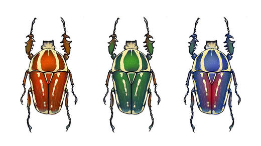 02 神奇的蛋的调查笔记 商品图0