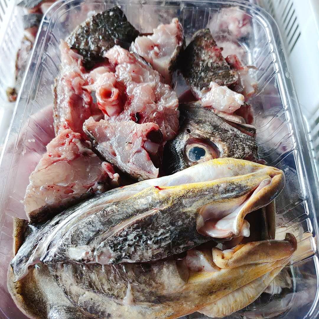 鰵魚頭赤嘴鰵魚是深海魚中的上品營養豐富魚頭殺好洗淨切塊每份淨重約