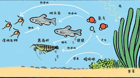 08 微缩世界的调查笔记