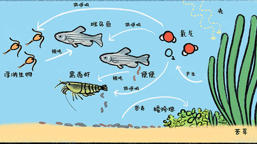 08 微缩世界的调查笔记 商品图0