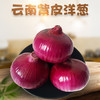 现挖云南紫皮洋葱 新鲜洋葱头 5斤/9斤 农家当季蔬菜红皮小圆葱 商品缩略图0