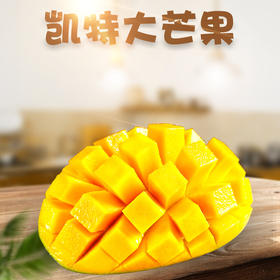 【新品上市】夏季爆款 正宗四川攀枝花凯特芒 大脸芒 新鲜水果纯甜大青芒果