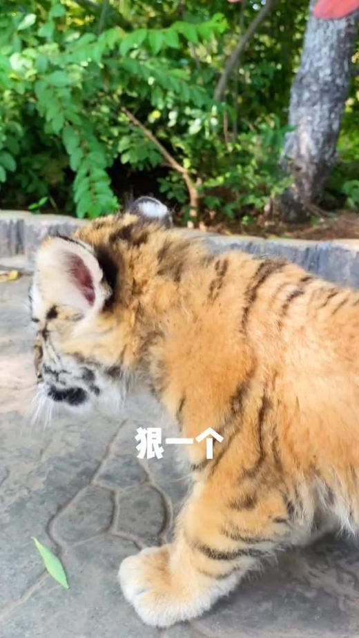 有人发现亮点没？？？？？？？？ 商品图0