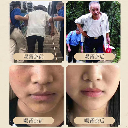 云南特级野生猫须草  中老年养肾茶30袋/包 商品图4