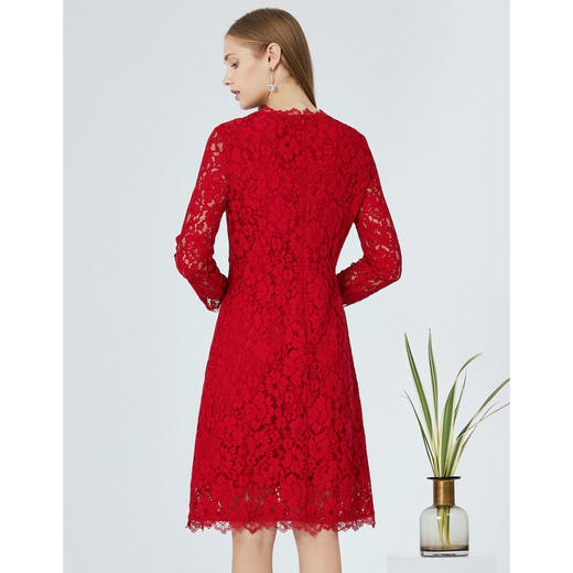 EITIE爱特爱品牌女装秋季时尚修身高腰圆领蕾丝连衣裙5807543 商品图4