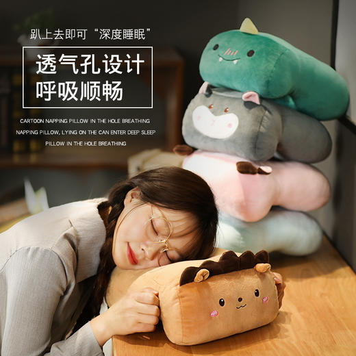 【抱枕礼物卡通创意毛绒】 玩具午睡垫居家日用实用ins玩具学生创意礼品女 商品图0