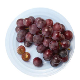 乒乓球葡萄特级