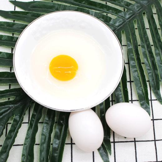 鸽子蛋【现下现发，保证新鲜，纯粮喂养，放心宝宝蛋】 商品图2