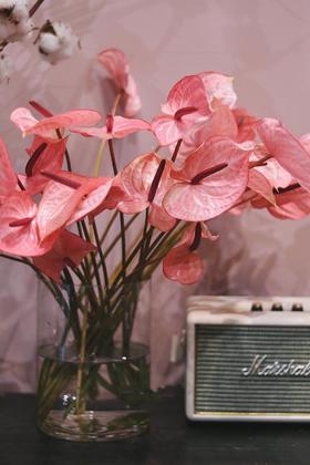 【周四团购】5枝荷冠水蜜桃色掌69.8元 2人拼团