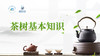第4节课-茶树基本知识 商品缩略图0