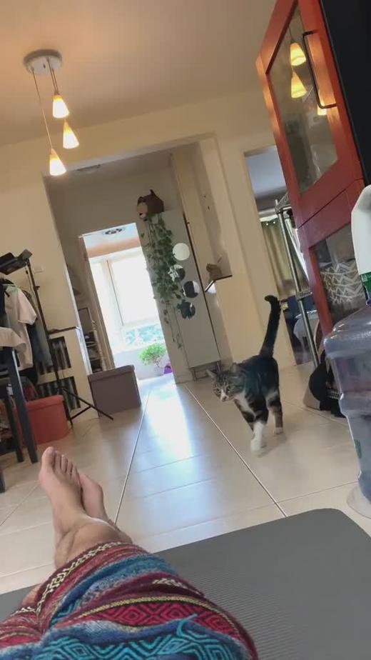 来呀，互相伤害呀！ 商品图0