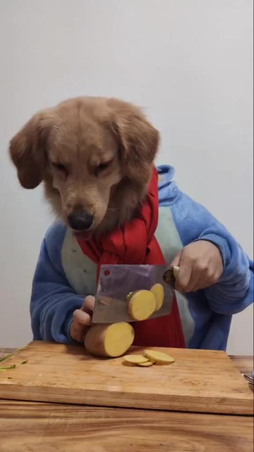 狗头先生布丁，太潇洒了！ 商品图0