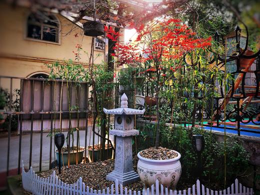 阳光下的花花草草 商品图0