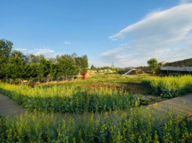 孵小鸡课程-认识农场和农场主