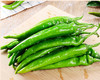 羊角椒 1斤 （正负不超过50g） 商品缩略图0