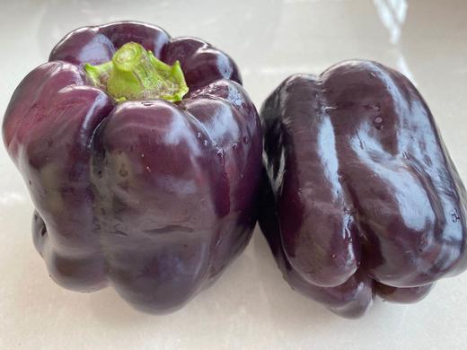 紫椒基地新品种