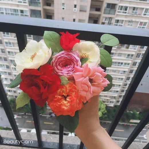 出租屋里的小时光 商品图0