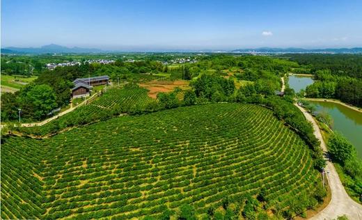 线上孵小鸡课程-认识农场和农场主 商品图0