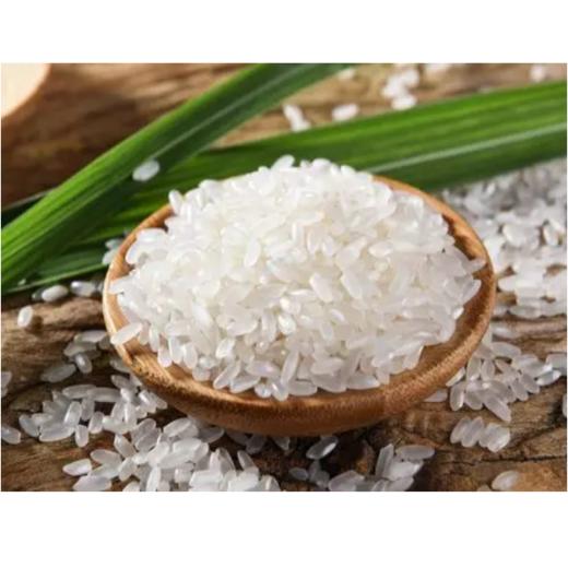 甲桃香米10kg 商品图0