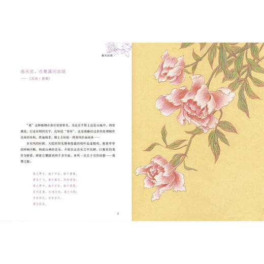 最美不过诗经（青少版） 商品图1