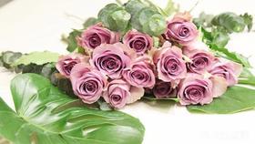 CBDFlower
