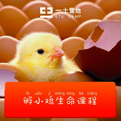 0820土豆说3 商品图0