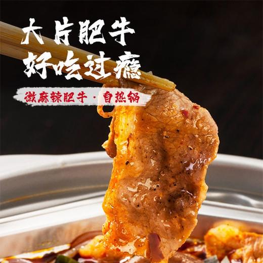 【自嗨锅】麻辣牛肉自热火锅170g+麻辣肥牛自热火锅170g  商品图3