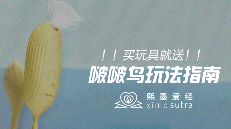 啵啵鸟独家玩法指南